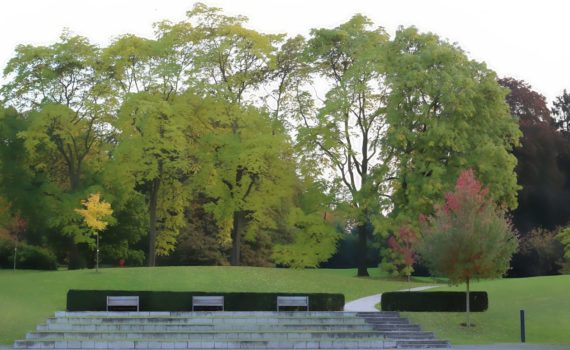 Mensa und Campus im Park von Sankt Georgen