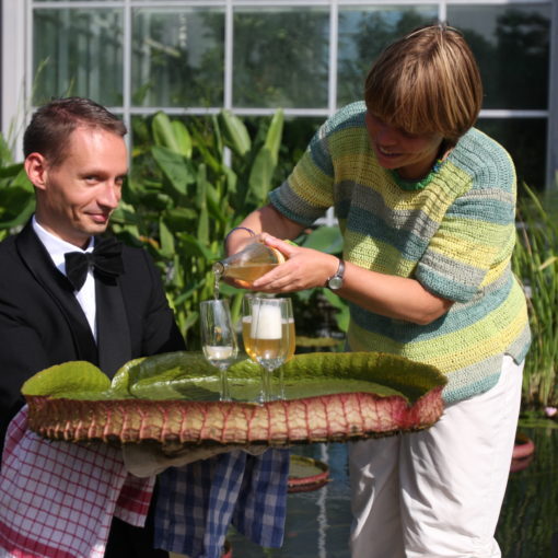 Die Mitarbeiter des Palmengartens in Frankfurt bereiten Pressetermine sorgfältig vor und inszenieren orginelle Fotomotive.